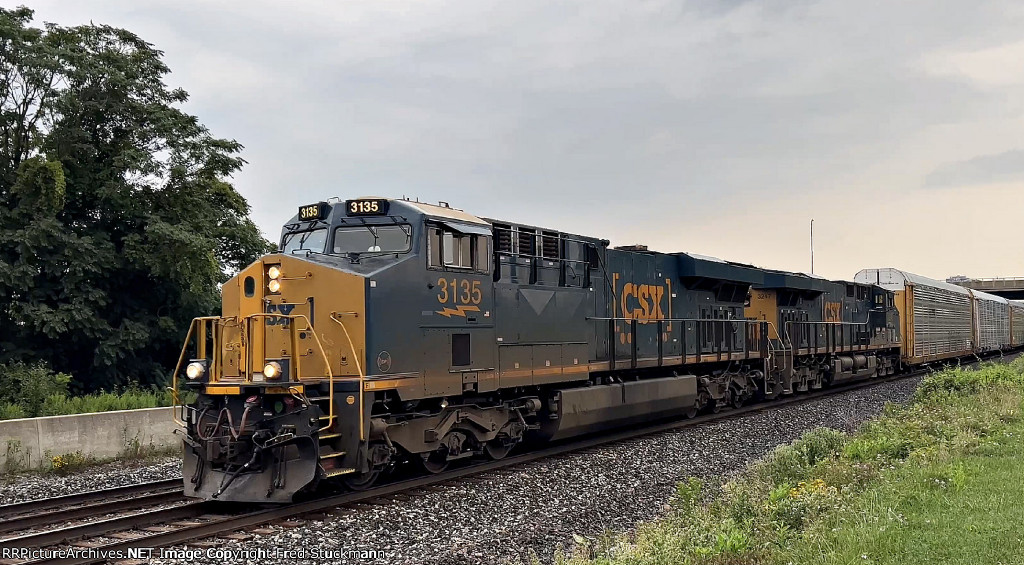 CSX 3135 leads M215.